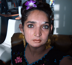 jaishri abichandani artist s profile the saatchi gallery