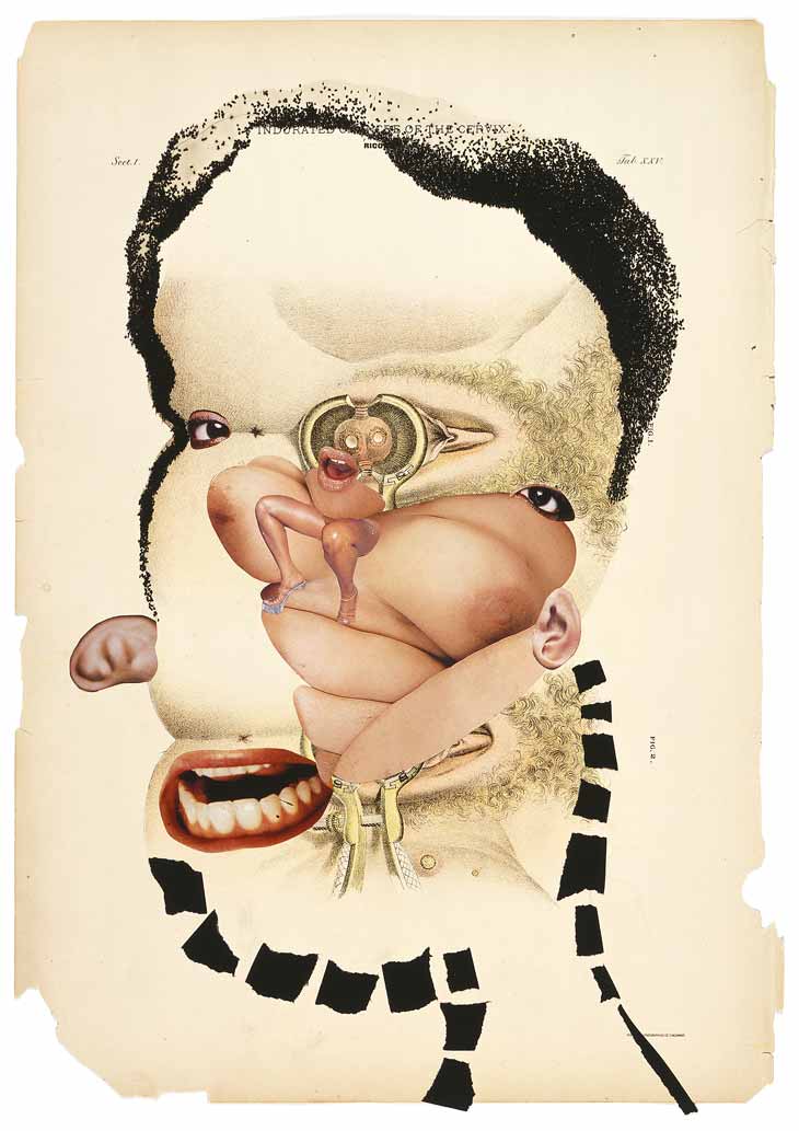 730px x 1033px - Wangechi Mutu - Indurated Ulcers of the Cervix ...